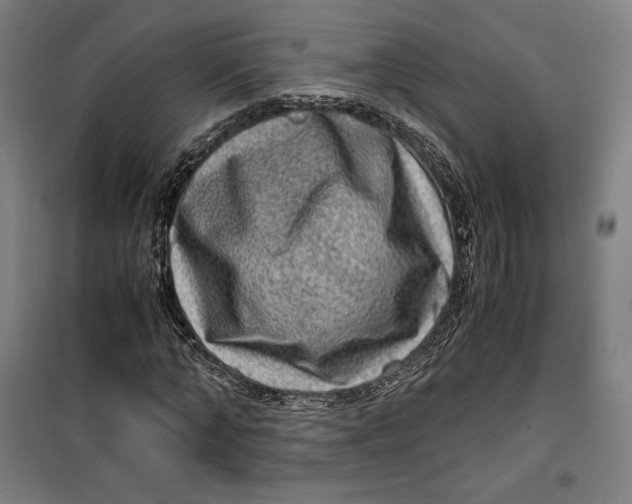 X0000099530870200806061429