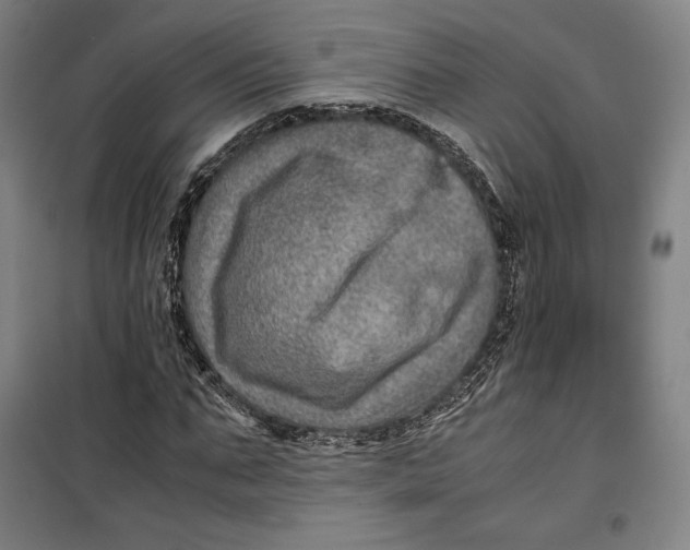 X0000099530871200806061429