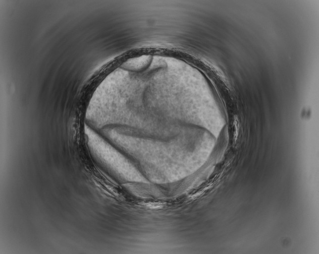 X0000099530872200806061429