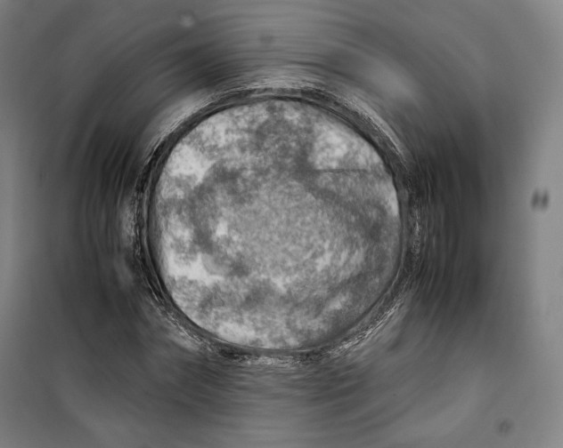 X0000099530874200806061429