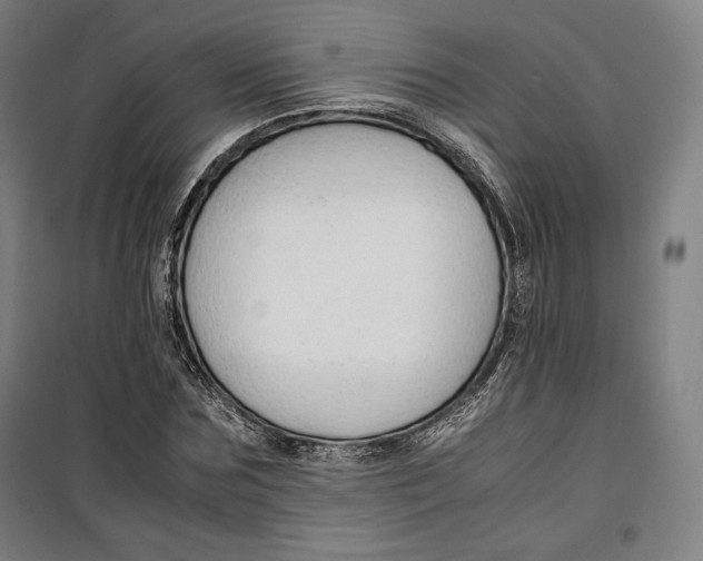 X0000099530875200806061429