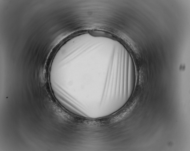 X0000099530876200806061429