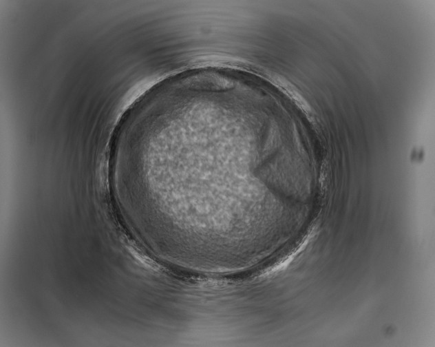 X0000099530877200806061429