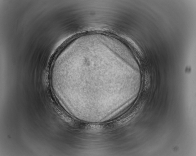 X0000099530878200806061429