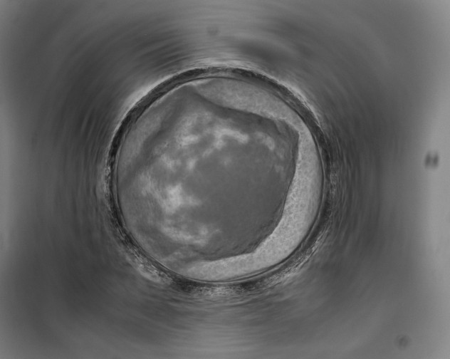 X0000099530879200806061429