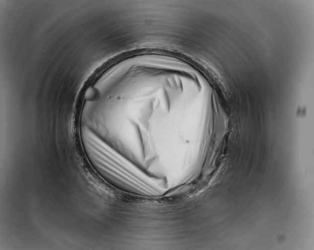 X0000099530880200806061429