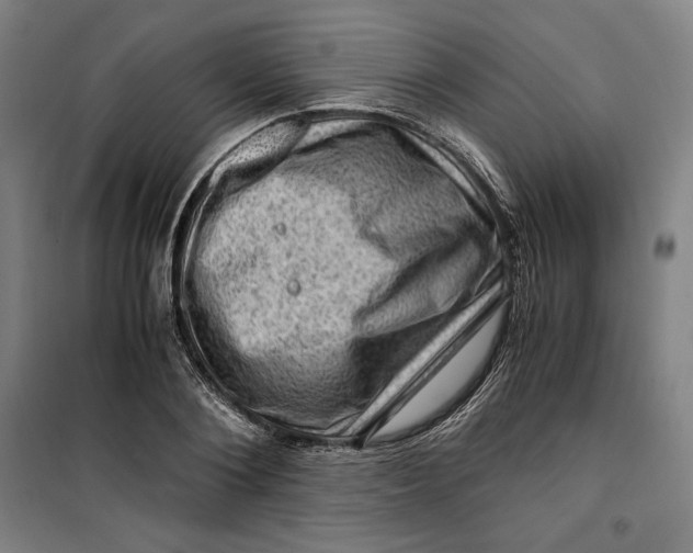 X0000099530884200806061429