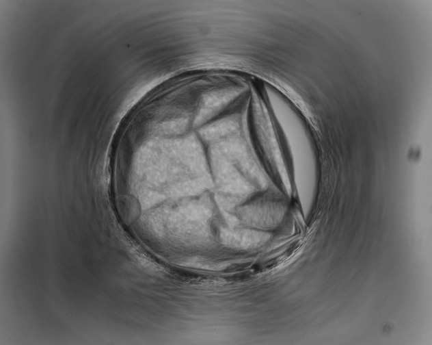 X0000099530885200806061429