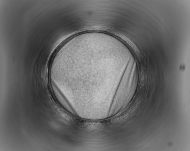 X0000099530886200806061429