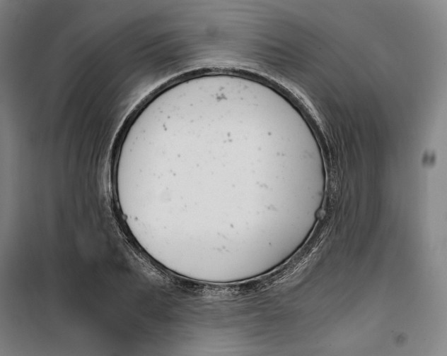 X0000099530887200806061429