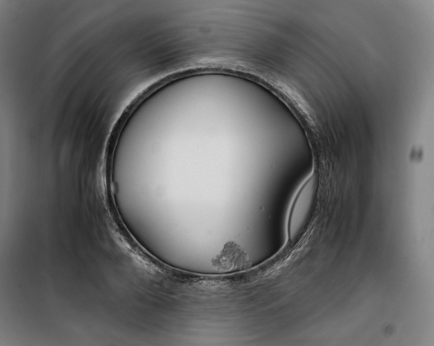 X0000099530888200806061429