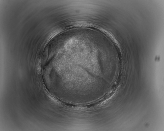 X0000099530889200806061429