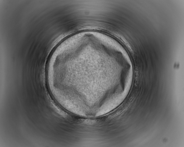 X0000099530890200806061429