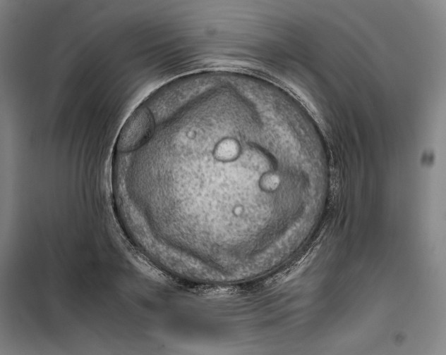 X0000099530891200806061429