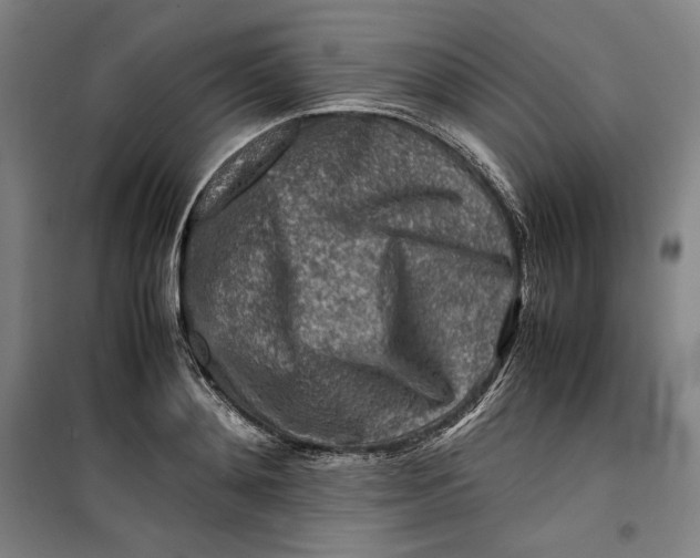 X0000099530892200806061429