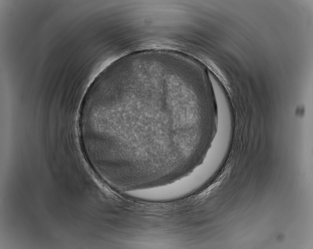 X0000099530893200806061429