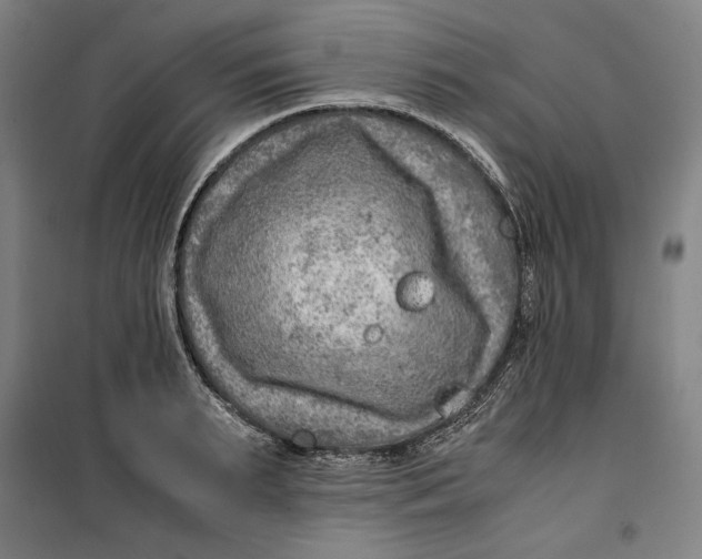 X0000099530895200806061429