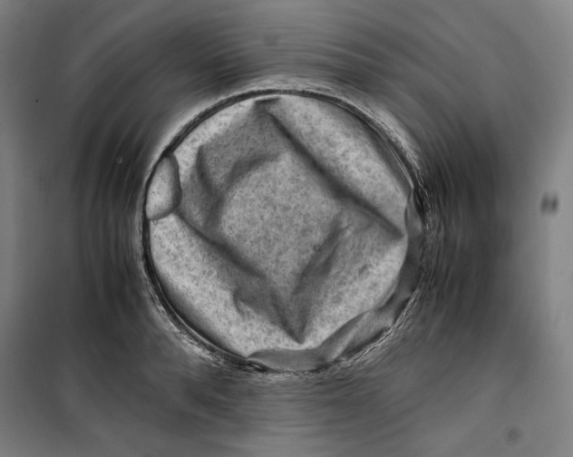 X0000099530896200806061429