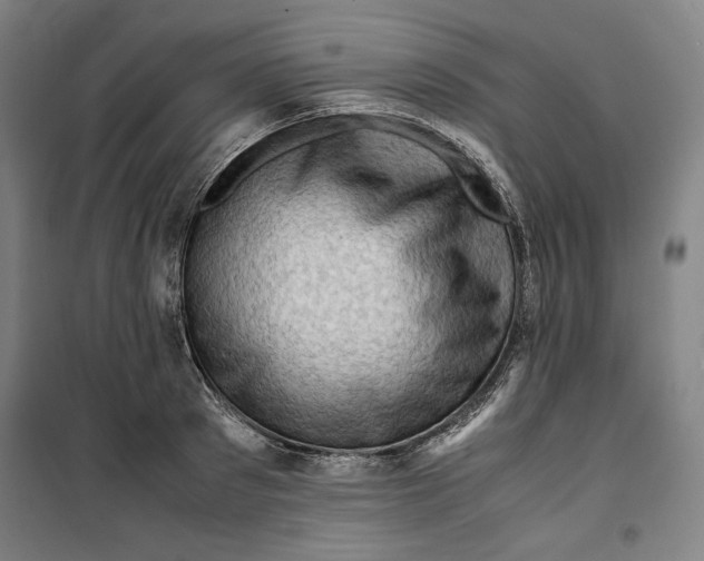 X0000099530897200806061429