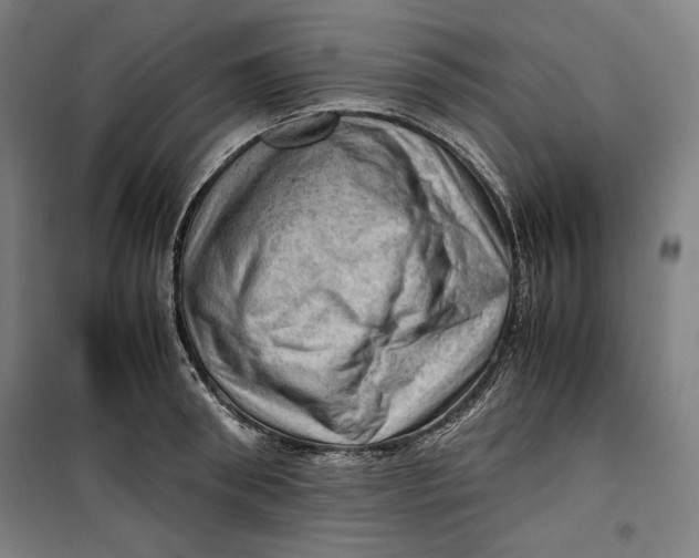 X0000099530898200806061429