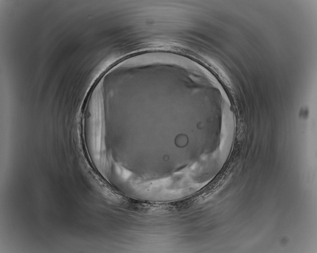 X0000099530899200806061429