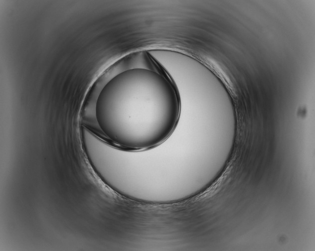 X0000099530900200806061429