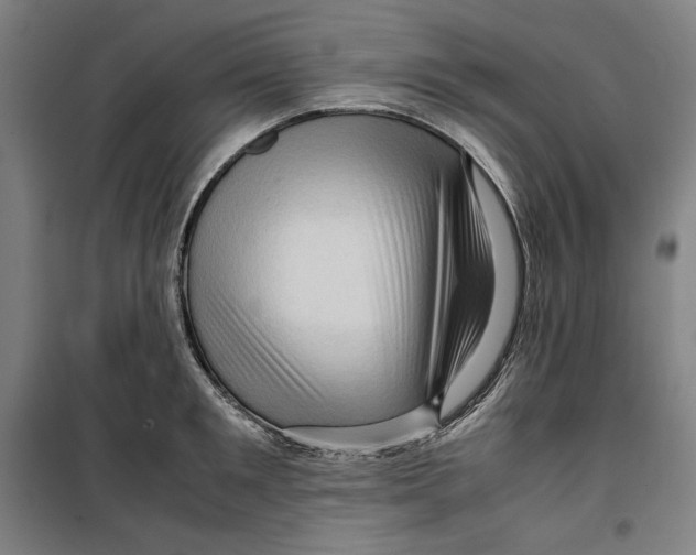 X0000099530901200806061429