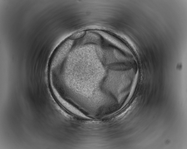 X0000099530902200806061429