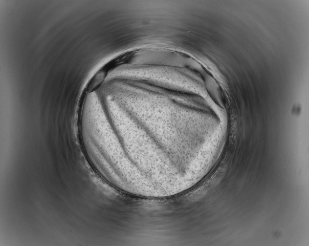 X0000099530904200806061429