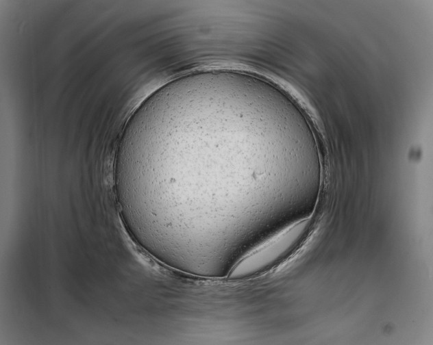 X0000099530905200806061429