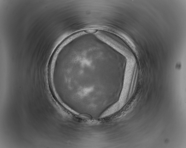 X0000099530907200806061429