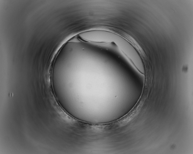 X0000099530908200806061429