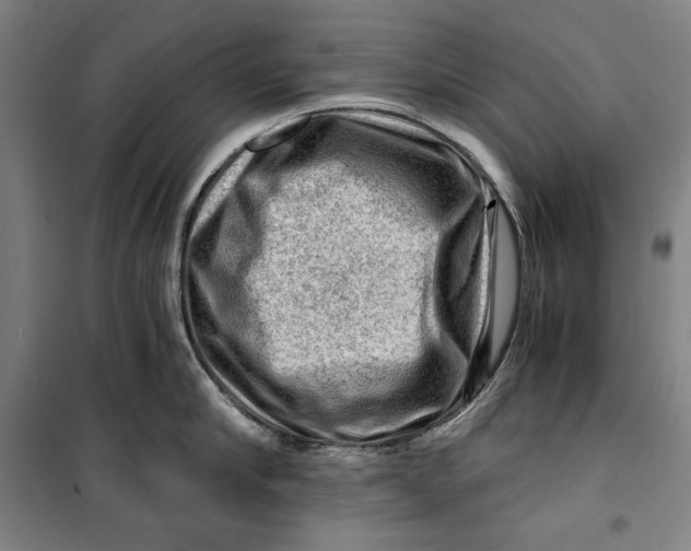 X0000099530910200806061429