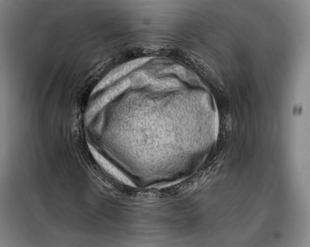 X0000099530914200806061428