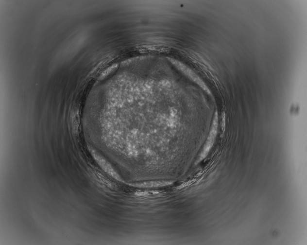 X0000099530915200806061428