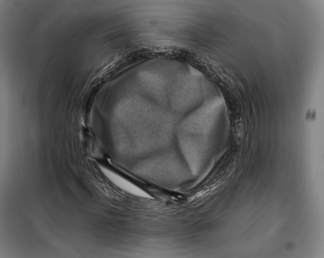 X0000099530916200806061428