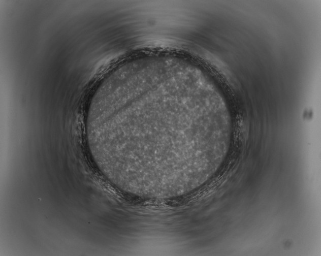 X0000099530918200806061428