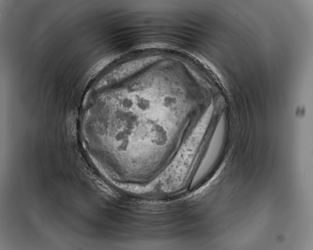 X0000099530921200806061428