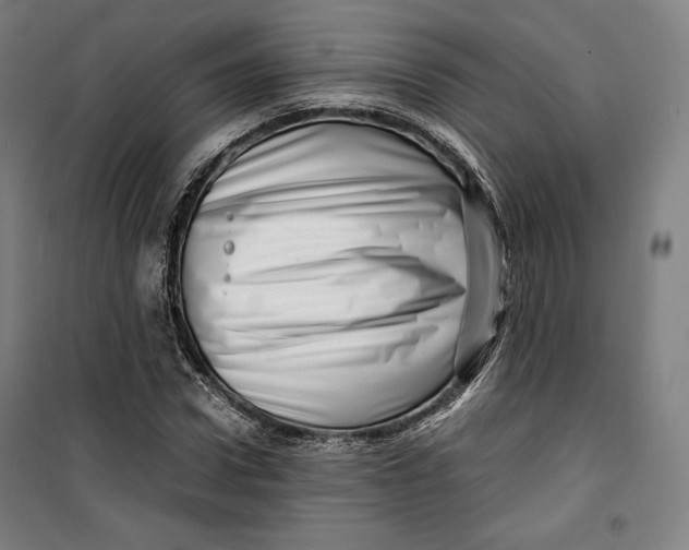 X0000099530922200806061428