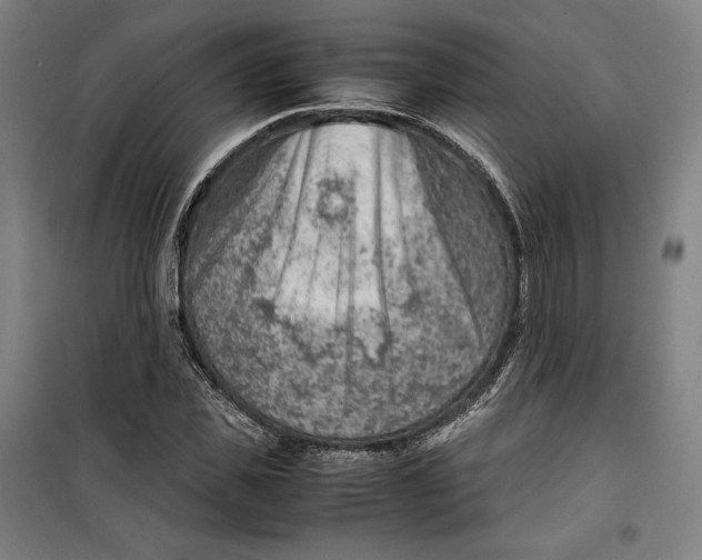 X0000099530925200806061428