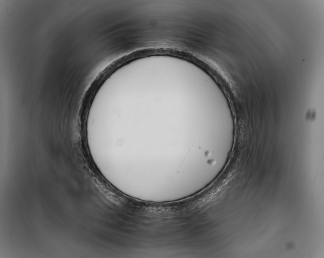 X0000099530927200806061428