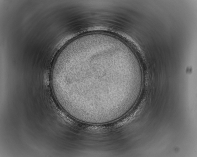 X0000099530929200806061428