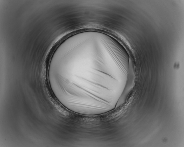 X0000099530931200806061428