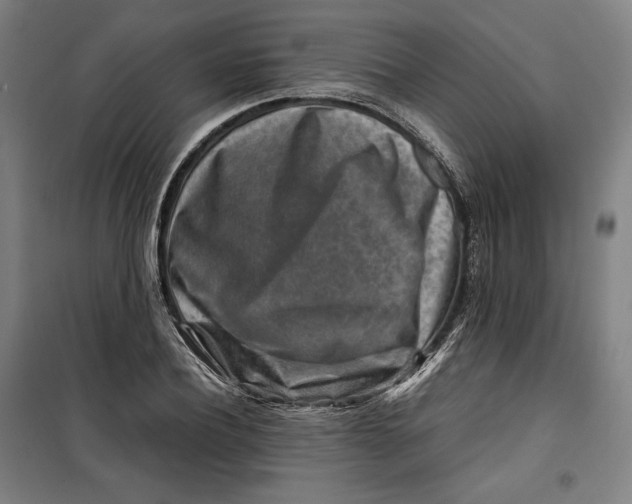 X0000099530932200806061428