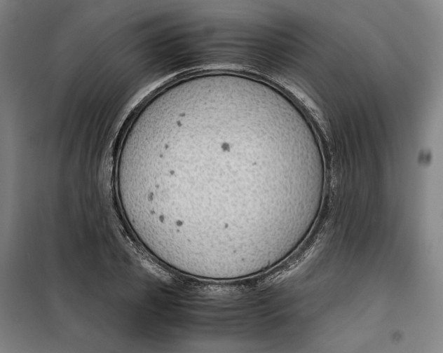 X0000099530933200806061428