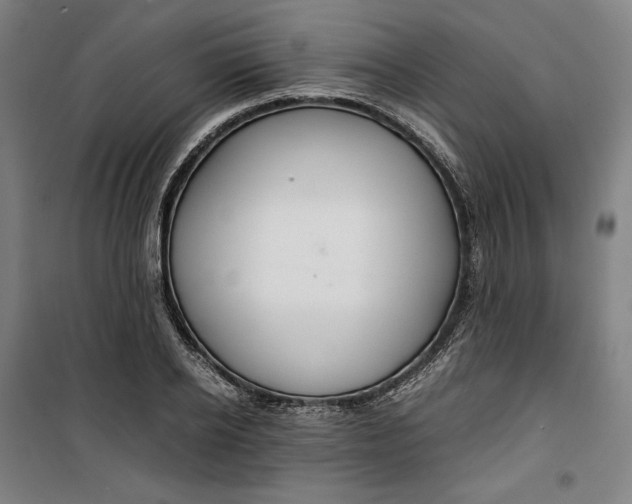 X0000099530934200806061428