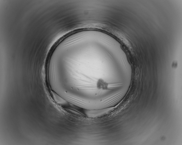 X0000099530936200806061428