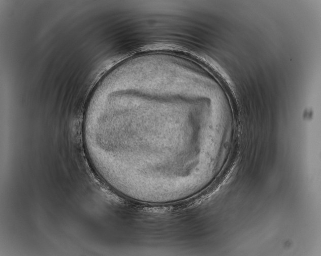 X0000099530937200806061428