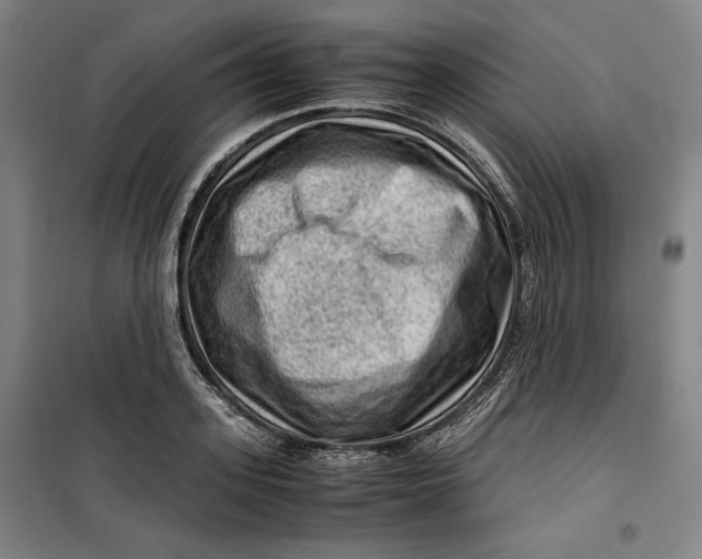 X0000099530939200806061428