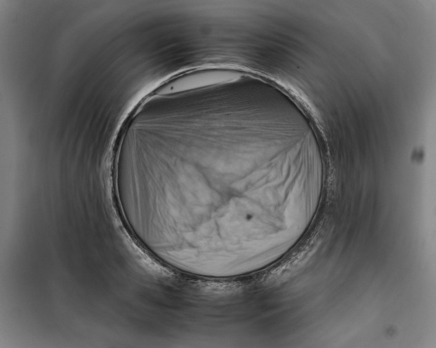 X0000099530941200806061428